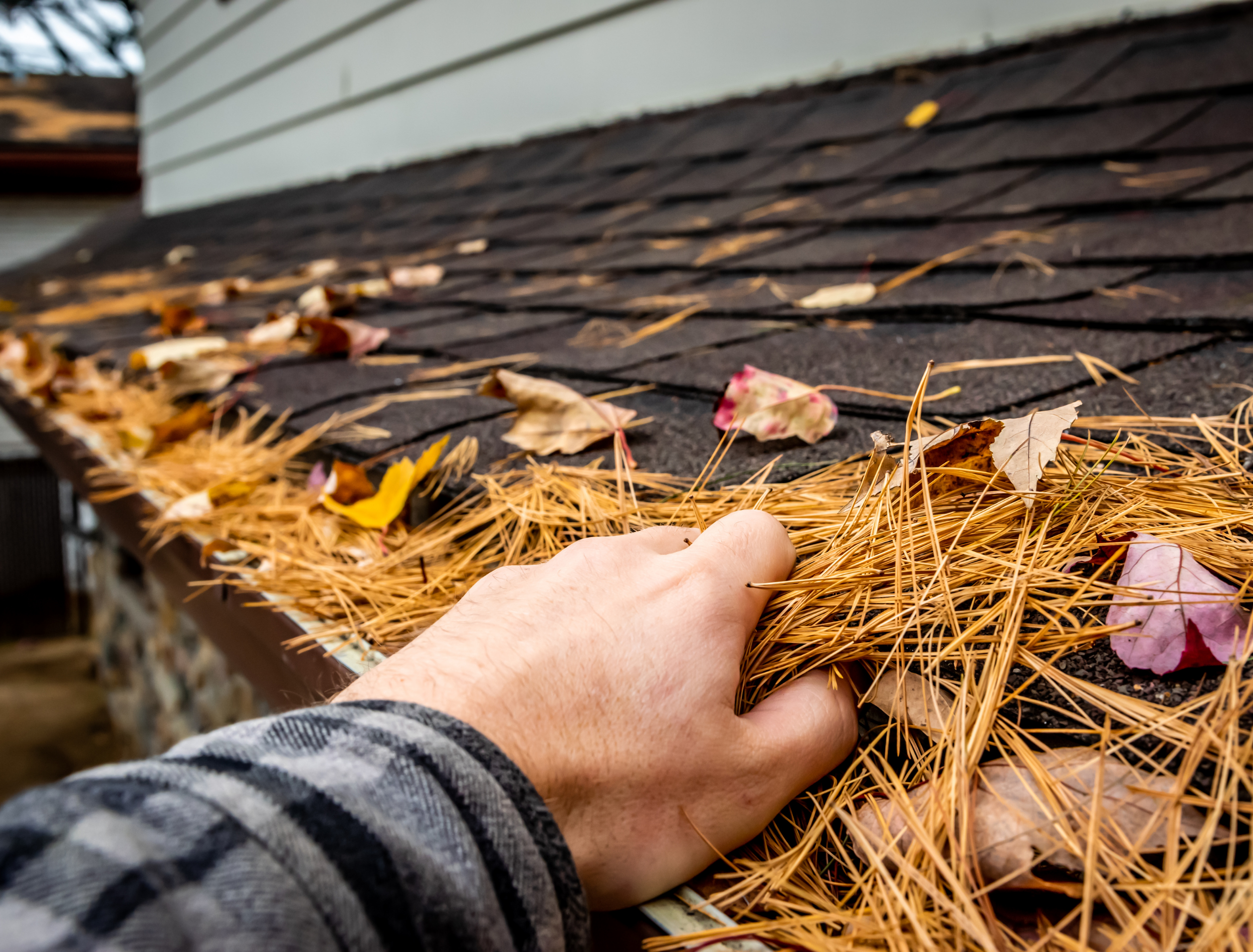 gutter cleaning