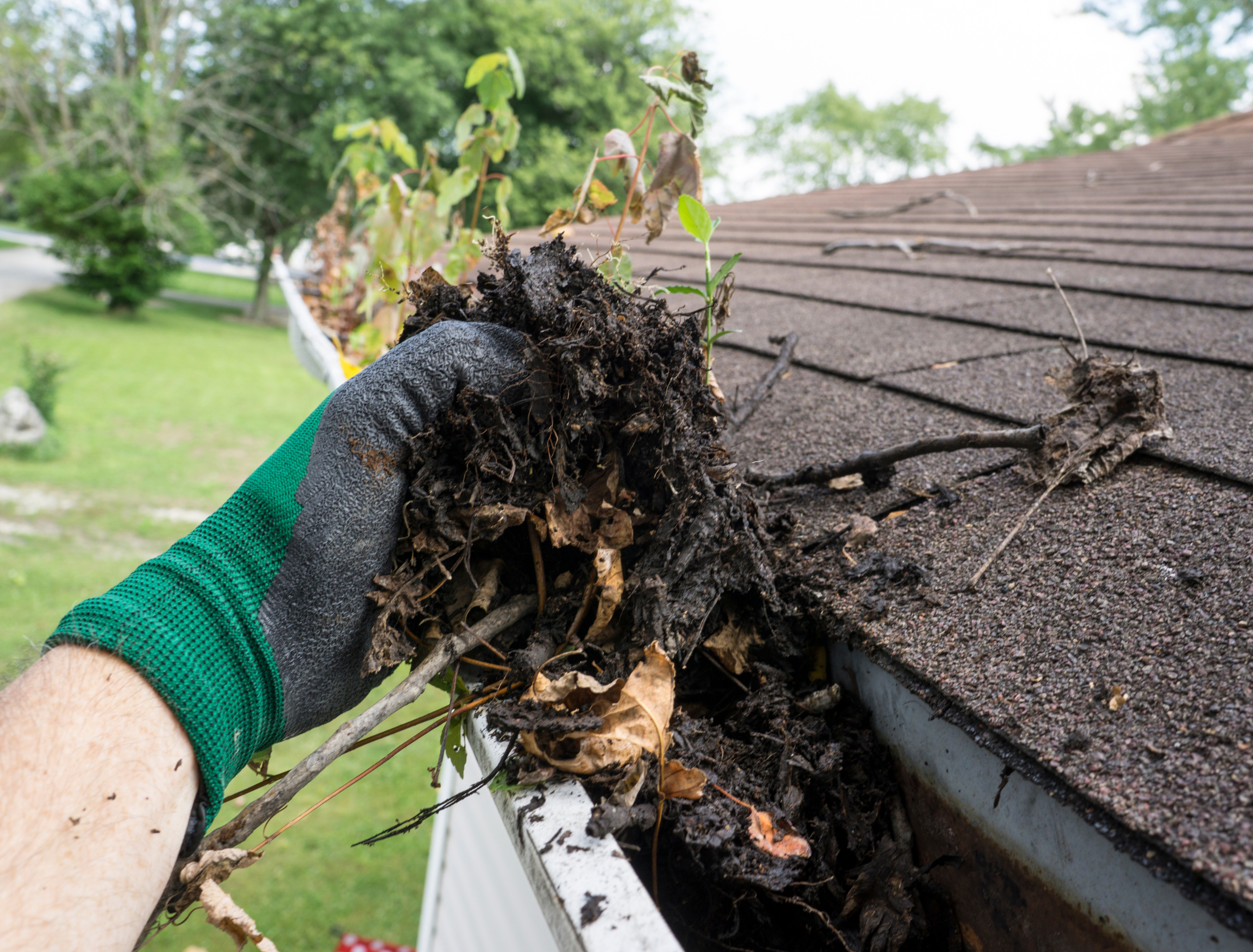 gutter cleaning